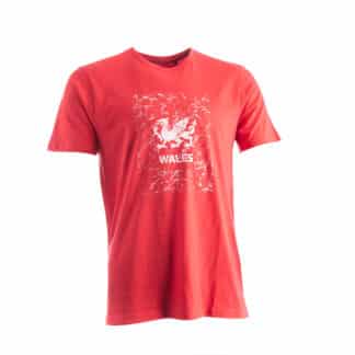 International T-shirt - Wales
